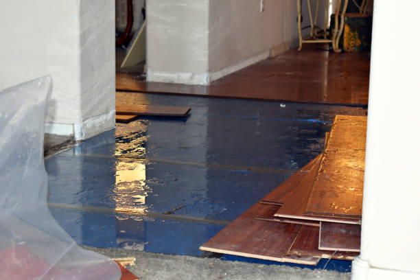 Professional Burst Pipe Cleanup technician working in Chandler, IN